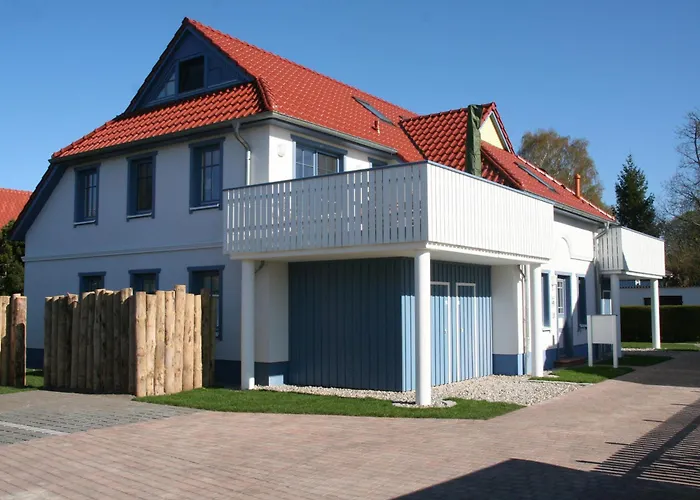 Birkmaase 10 Ostseestern زنغست